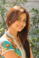 Nisha Agarwal Latest Photos